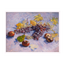 Grapes, Lemons, Pears, and Apples