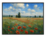 Poppy Field, Île-de-France