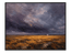 Before the Rain, Steppe