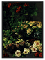 Secret Garden Blooms