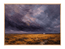 Before the Rain, Steppe