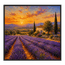 Lavender Fields at Dusk