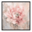 Morning Peony