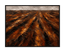 Ploughed Earth