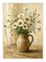 Meadow Daisy Morning