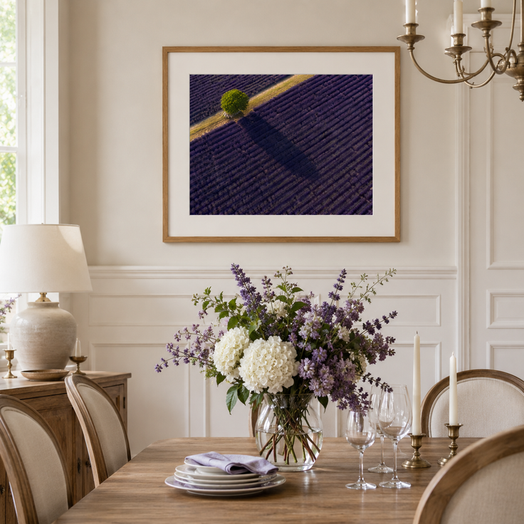 Lavender Season