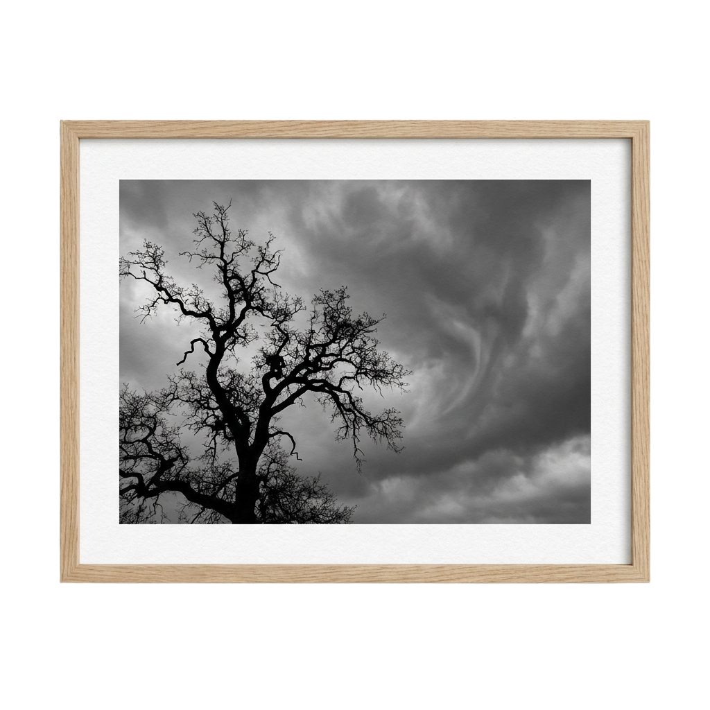 Whispers Before the Storm