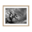 Whispers Before the Storm