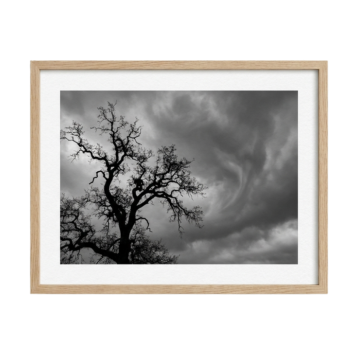 Whispers Before the Storm