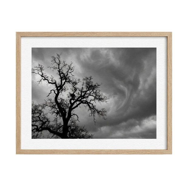 Whispers Before the Storm
