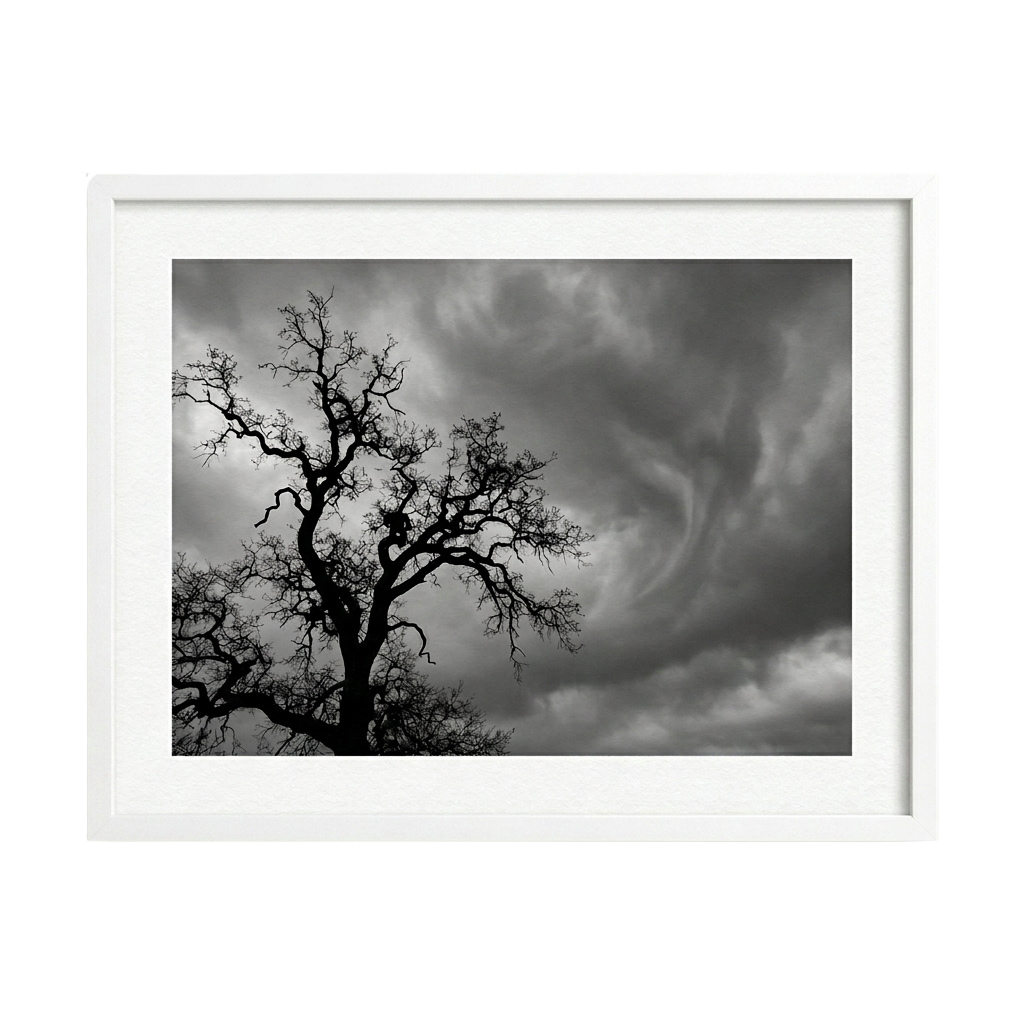 Whispers Before the Storm
