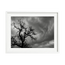 Whispers Before the Storm