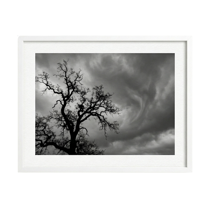 Whispers Before the Storm