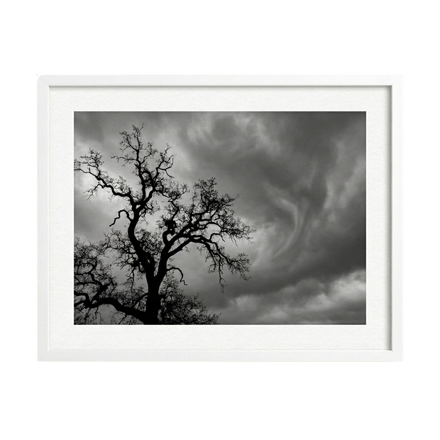 Whispers Before the Storm