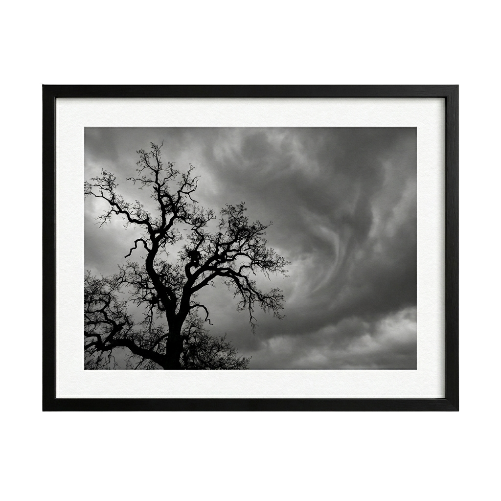 Whispers Before the Storm