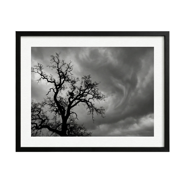 Whispers Before the Storm