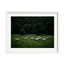 Silent Meadow