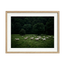 Silent Meadow