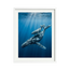 Ocean Bond