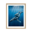 Ocean Bond