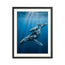 Ocean Bond