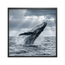 Breach of Freedom