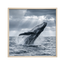 Breach of Freedom