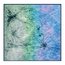 Spectrum Motion