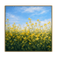 Among the Wildflowers