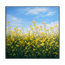 Among the Wildflowers