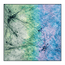 Spectrum Motion