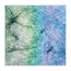 Spectrum Motion