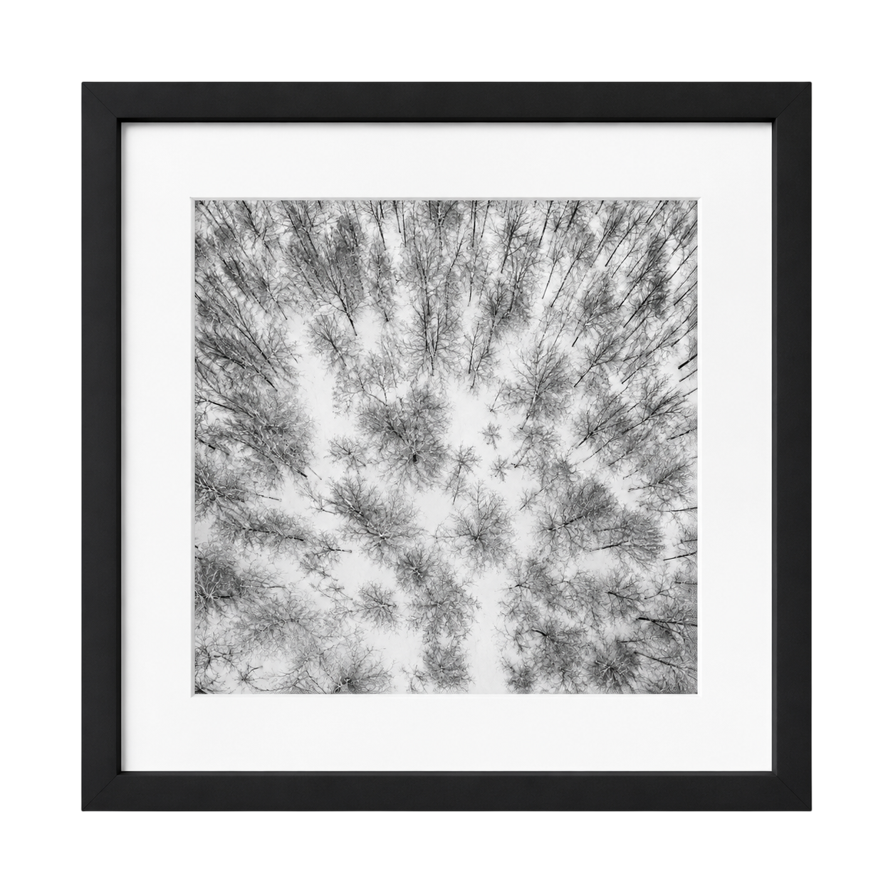 Winter Geometry