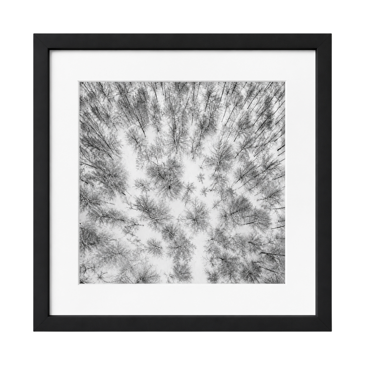 Winter Geometry