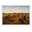 Harvest Fields