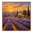 Lavender Fields at Dusk