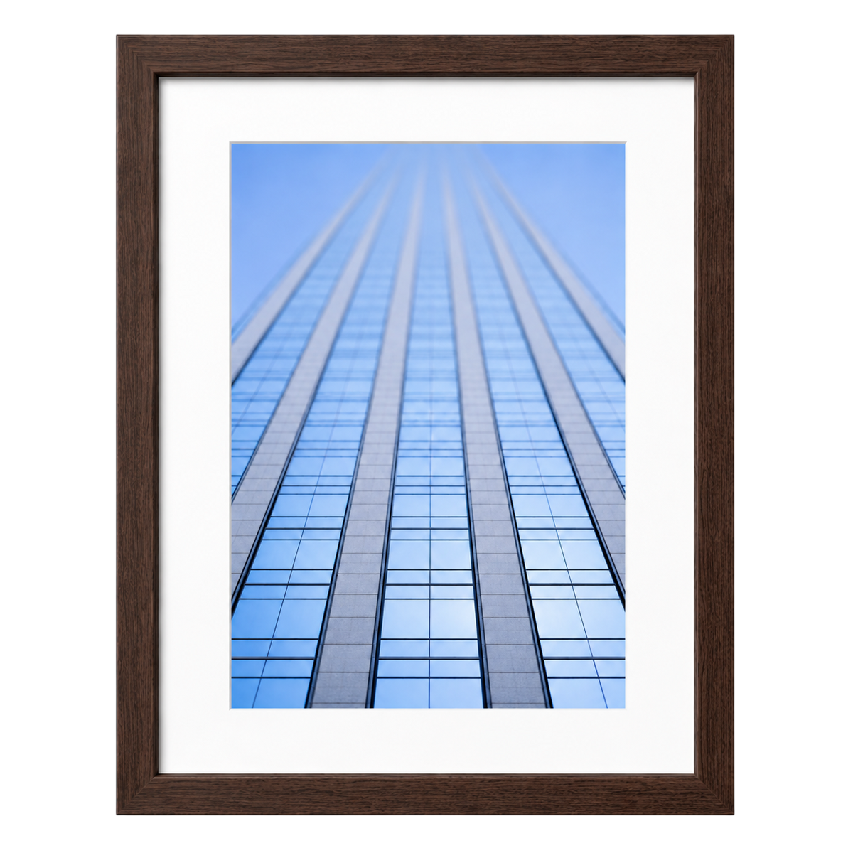 Glass & Steel