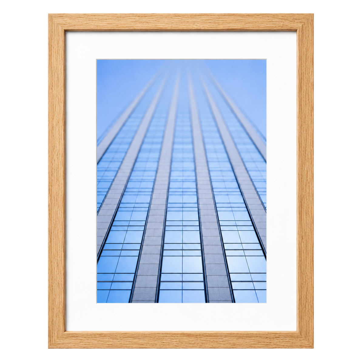 Glass & Steel