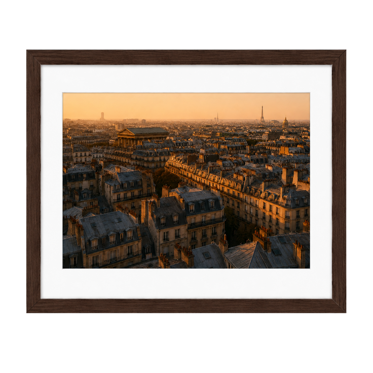 Above the Rooftops