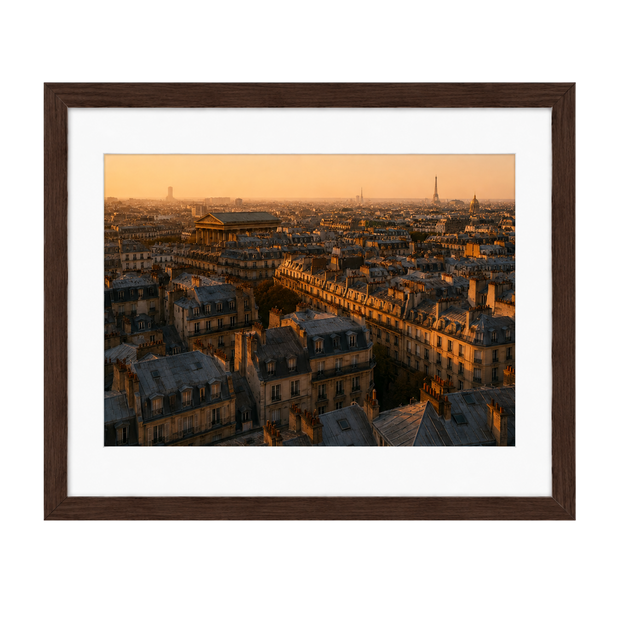 Above the Rooftops