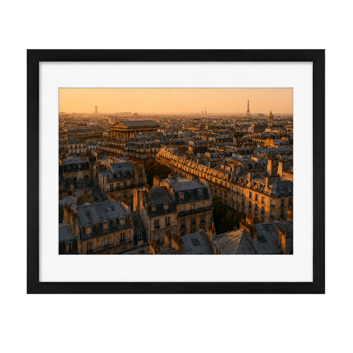 Above the Rooftops