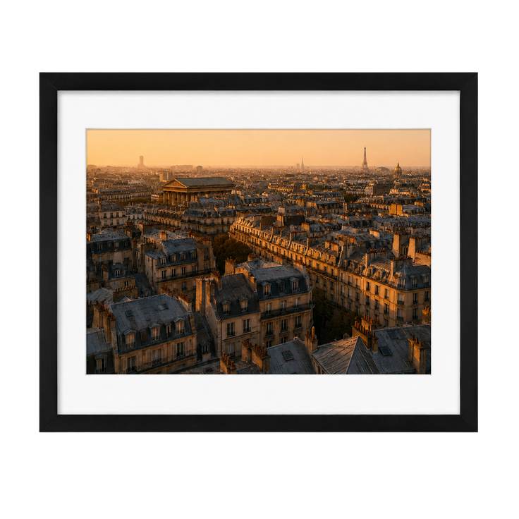 Above the Rooftops