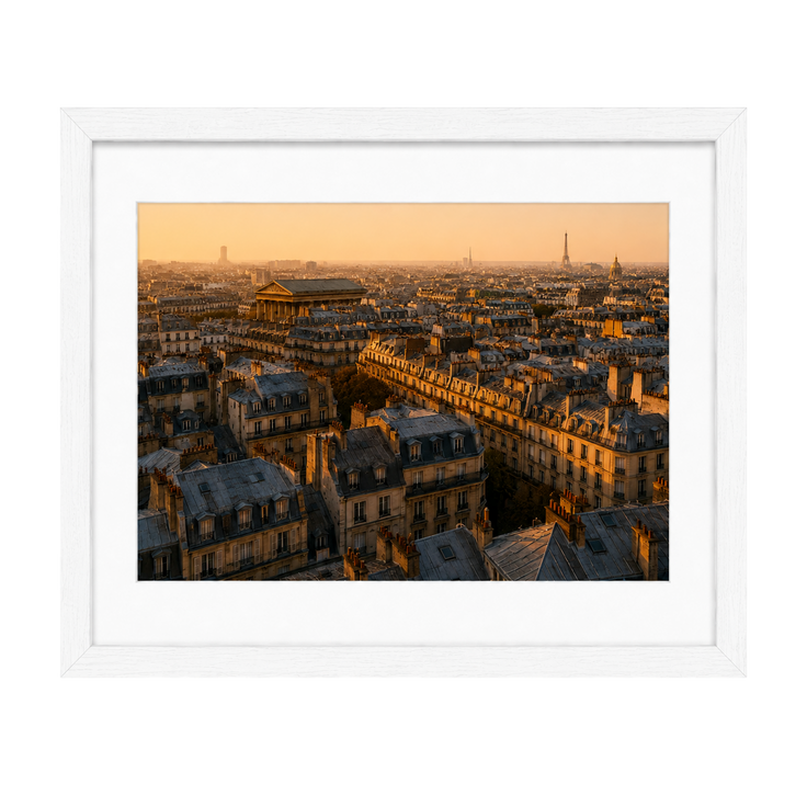 Above the Rooftops