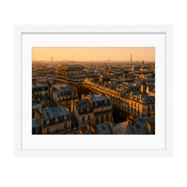 Above the Rooftops