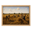 Harvest Fields