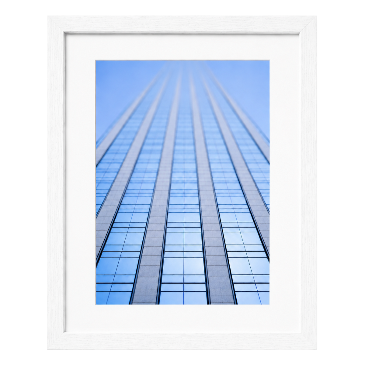 Glass & Steel