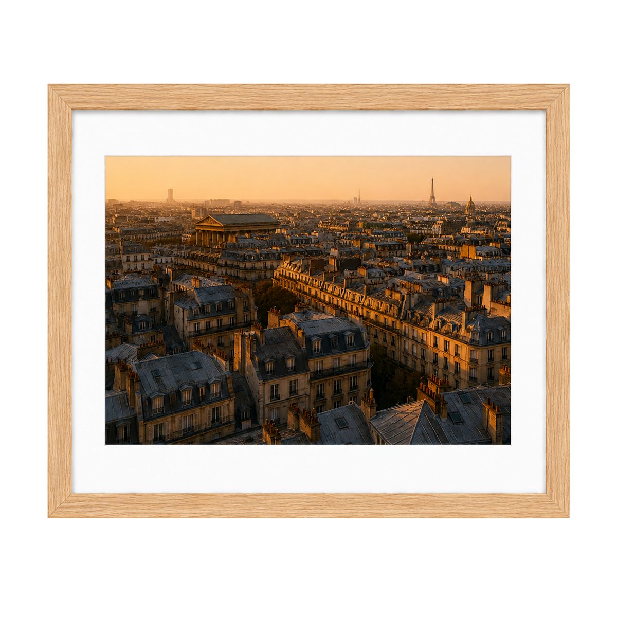 Above the Rooftops