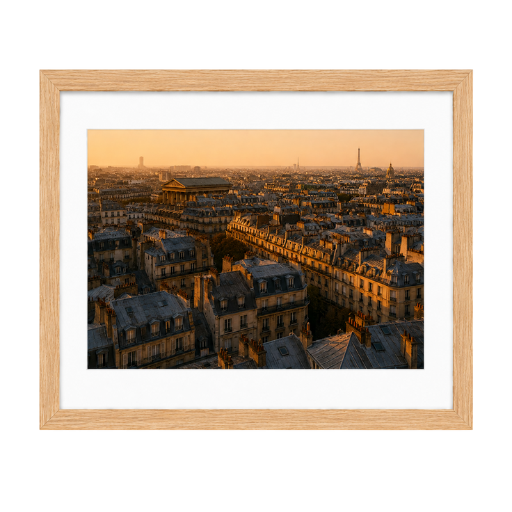 Above the Rooftops