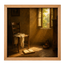 Afternoon Light