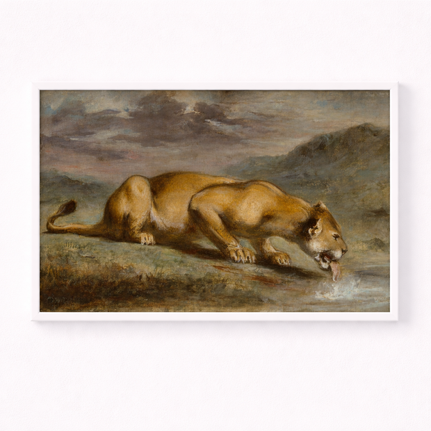 Wounded Lioness